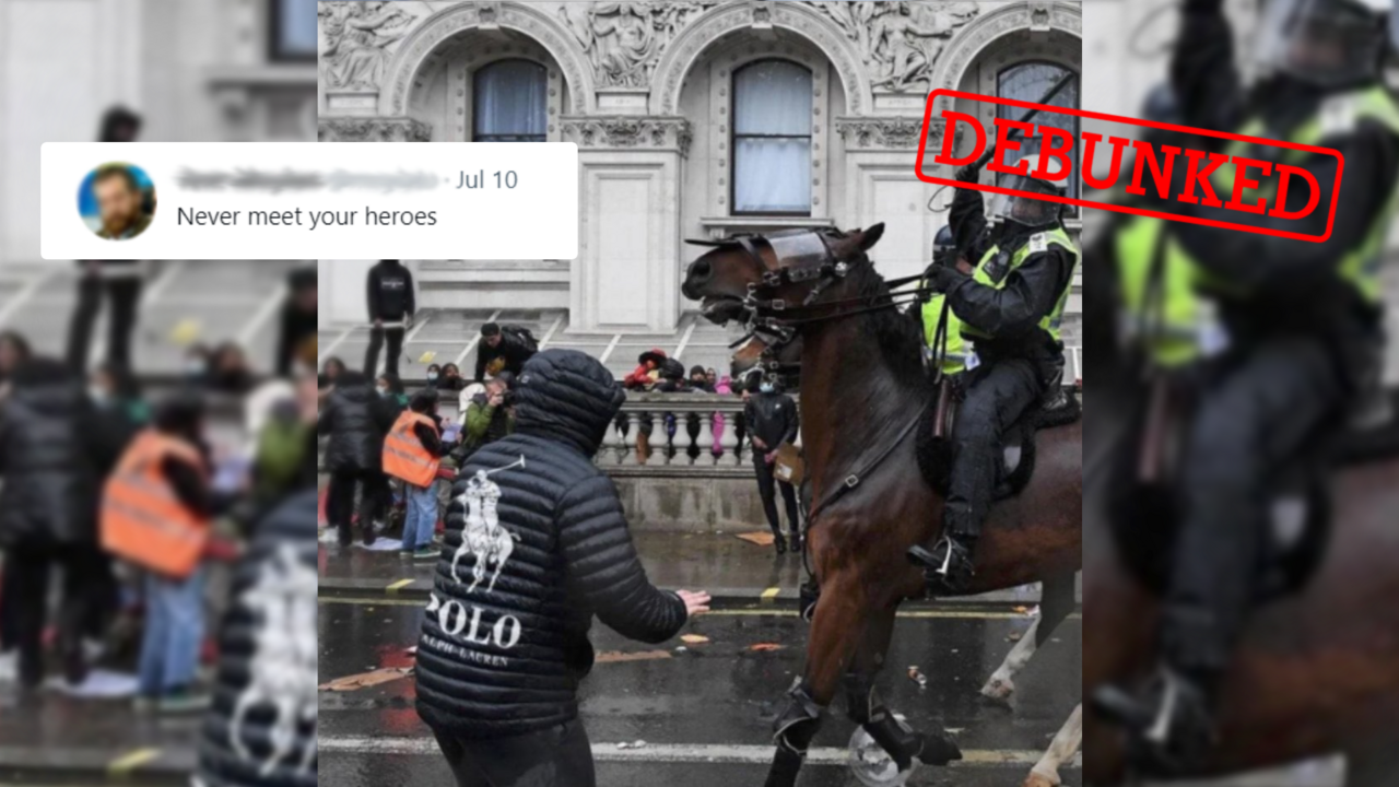 This 'perfectly timed' photo of a protester in a Polo Ralph Lauren